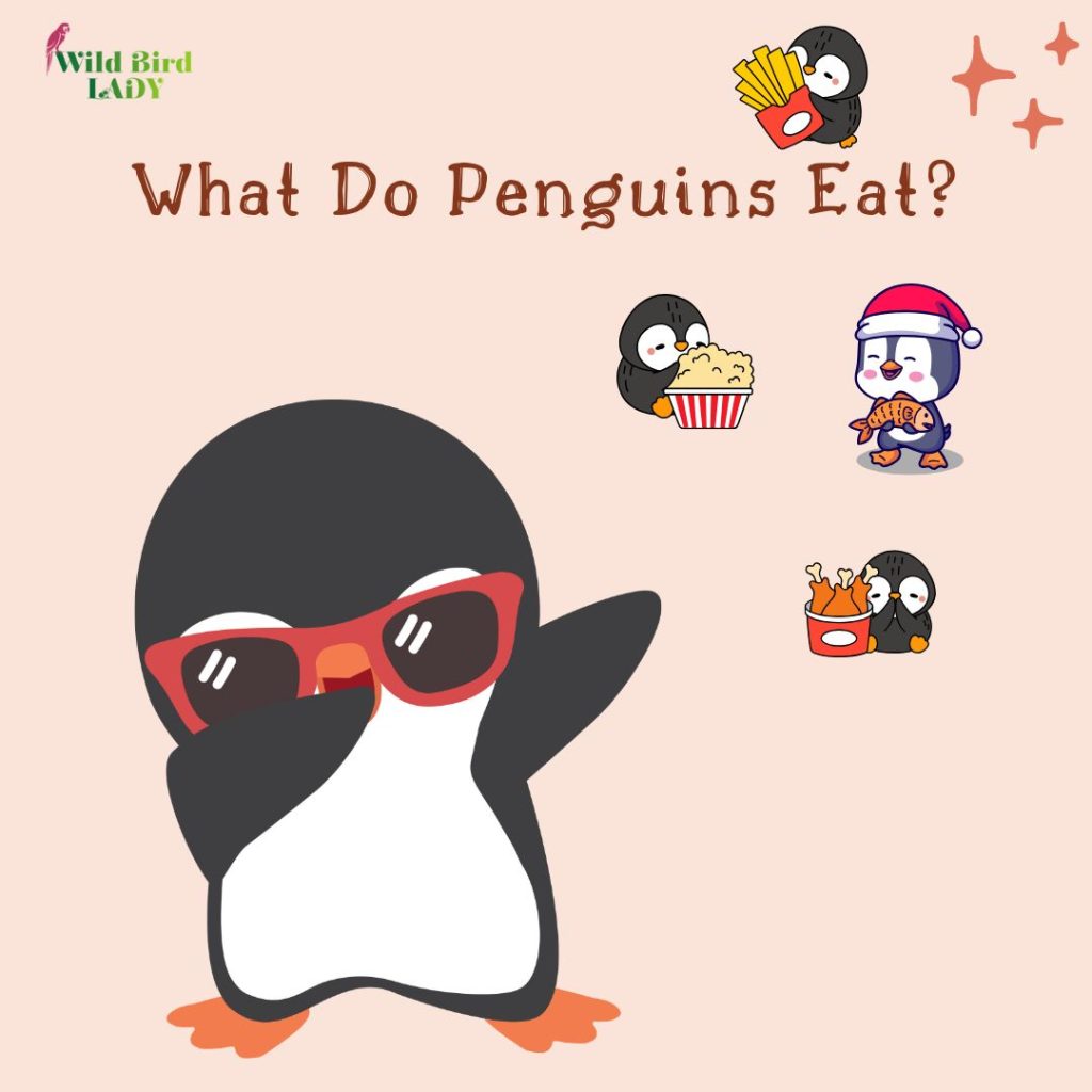 What do penguins eat?