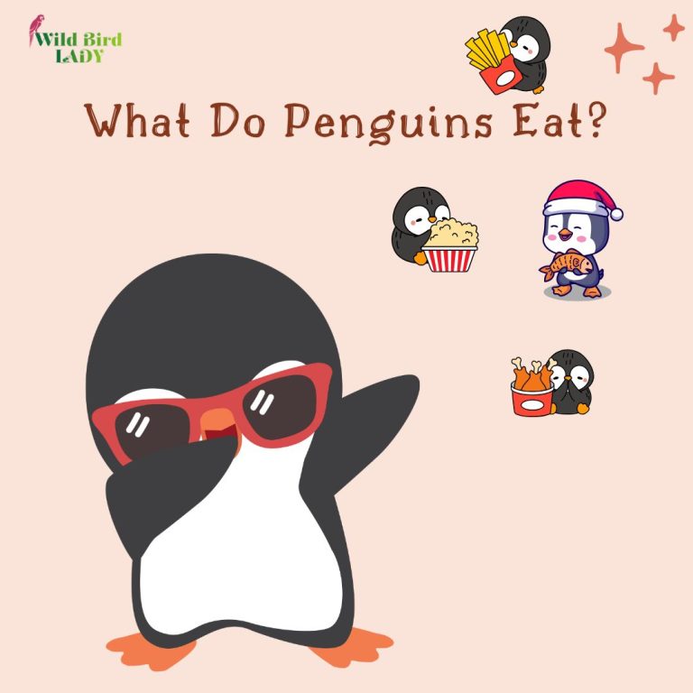 What do penguins eat?